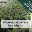 POSADĹš 100 000 DĘBĂW ZE SZTYGAREM!