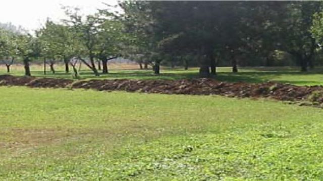 foto4