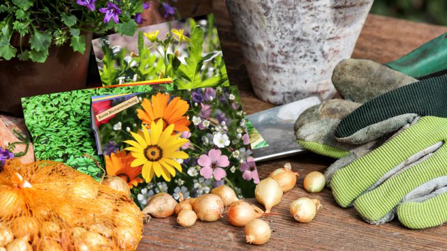Saatgut, Steckzwiebeln und Gartenwerkzeug