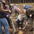 Mirosławiec pokazał, że jest źPo stronie natury”