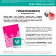 Polska nowoczesna_backgrounder Polska nowoczesna