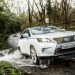 Lexus RX – urodzony lider