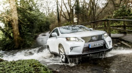 Lexus RX – urodzony lider