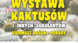 WYSTAWA KAKTUSÓW