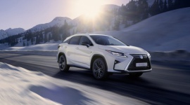 Nowy Lexus RX Sport w dynamicznej stylizacji