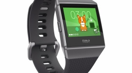 Fitbit Pet – wykorzystaj swoje kroki do opieki nad wirtualnym psem lub kotem