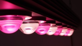 Najmocniejsza i najefektywniejsza. Lampa wspomagająca wzrost roślin od Micoled.