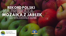 W Drawieńskim Parku Narodowym będą bić Rekord Polski z okazji Święta Jabłka