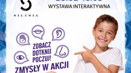 Zobacz, dotknij, poczuj – interaktywna wystawa „Zmysły w akcji” w SCC