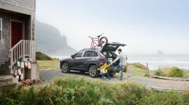 Toyota RAV4 nagrodzona w 2019 Wards 10 Best Interiors