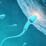Nowe badania biologiczne skupione na męskiej płodności
