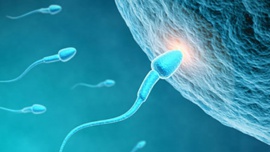 Nowe badania biologiczne skupione na męskiej płodności
