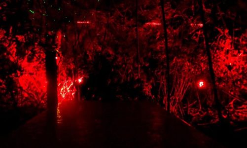 Bella Skyway Festival: najlepsza edycja wydarzenia