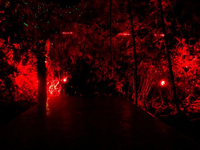 Bella Skyway Festival: najlepsza edycja wydarzenia
