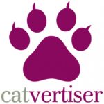 Catvertiser z automatyczną optymalizacją kampanii na Facebooku