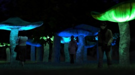 Light.Move.Festival. rozświetli centrum Łodzi BIZNES, Kultura - Największy festiwal światła w Polsce stawia na architektoniczne iluminacje, które są jego wyróżnikiem także na świecie. Wydarzenie, które co roku odmienia oblicze łódzkiego śródmieścia odbędzie się w dniach 7 ? 9 października 2016.