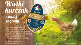 Kolejna odsłona kampanii marki Zagrodowy BIZNES, Media i PR - Wystartowała kolejna odsłona kampanii marki Zagrodowy pod hasłem ?Wielki kurczak z małej zagrody?.