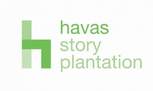 Havas Media Group powołuje Havas Story Plantation