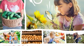 Tesco i Garden of Words nagrodzone Złotym Spinaczem za działania edukacyjne
