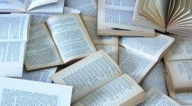 Blog dla książkoholików Książka, LIFESTYLE - Każdy czytelnik zna to uczucie, kiedy kończy świetną książkę i po jej zamknięciu zastanawia się w jaki świat przedstawiony teraz wskoczyć. CoPrzeczytac.pl to profesjonalny serwis, do którego powinien wtedy zajrzeć.