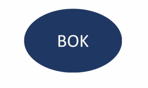 Biuletyn Obsługi Klienta patronem medialnym SMB