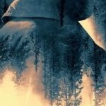 Bestsellerowe fenomeny ? pierwsza trójka polskiej literatury popularnej