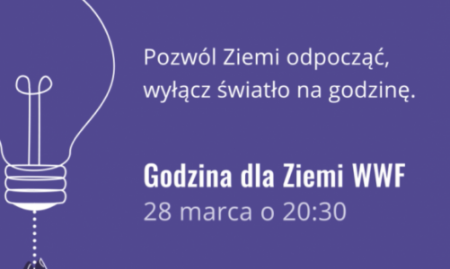 Jet Line i MyLED dołączają do akcji Godzina dla Ziemi WWF
