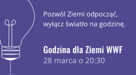 Jet Line i MyLED dołączają do akcji Godzina dla Ziemi WWF BIZNES, Media i PR - Agencje reklamowe Jet Line i MyLED wspólnie włączyły się do akcji Godzina dla Ziemi WWF. Od poniedziałku, na ekranach MyLED oraz witrynach MORE w Warszawie rozpocznie się emisja specjalnie przygotowanego na tę okazję spotu.