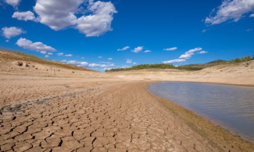 Bluecloud Interactive z autorskim projektem dla Koalicji Klimatycznej.