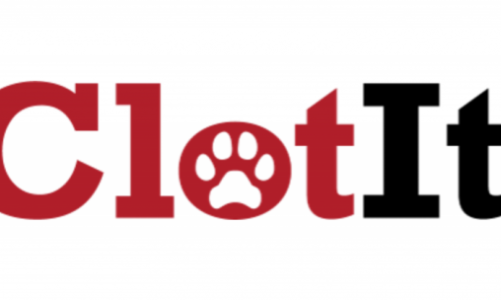 CLOTIT NOWYM KLIENTEM AGENCJI FACE IT!