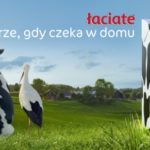 SM Mlekpol wygrywa konkurs na najlepszą kampanię 2020