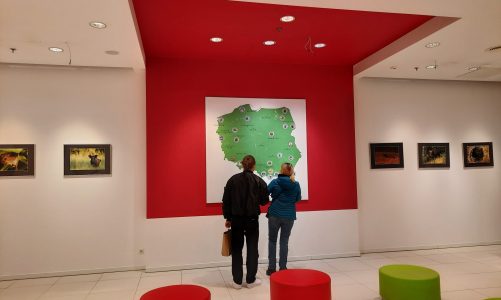 Sąsiedztwo zobowiązuje ? wyjątkowa współpraca Galerii Łomianki z Kampinoskim Parkiem Narodowym
